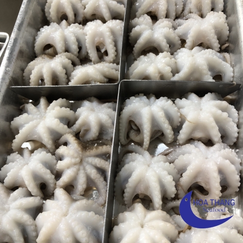 FROZEN BABY OCTOPUS