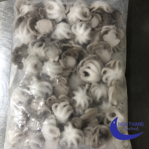 FROZEN  BABY OCTOPUS IQF