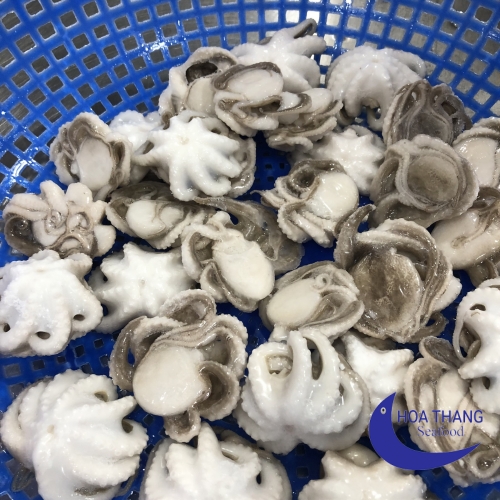 FROZEN  BABY OCTOPUS IQF