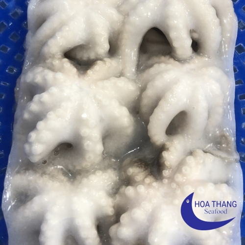 FROZEN BABY OCTOPUS
