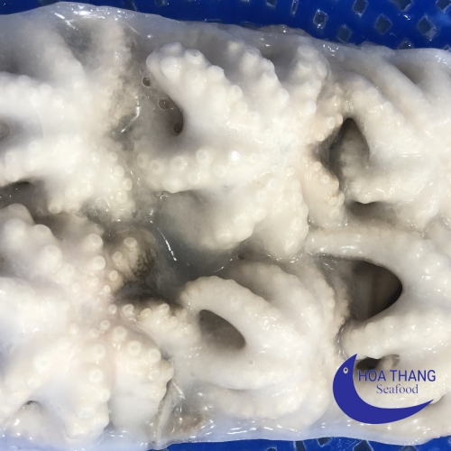 FROZEN BABY OCTOPUS