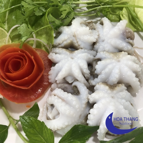 FROZEN BABY OCTOPUS