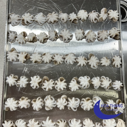 FROZEN BABY OCTOPUS IQF