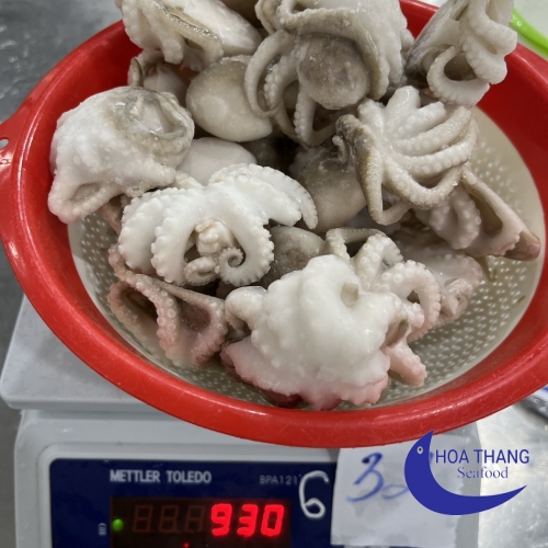 FROZEN BABY OCTOPUS IQF