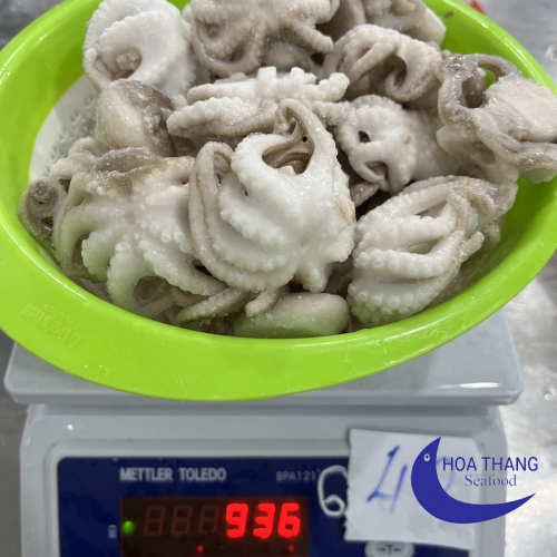 FROZEN BABY OCTOPUS IQF