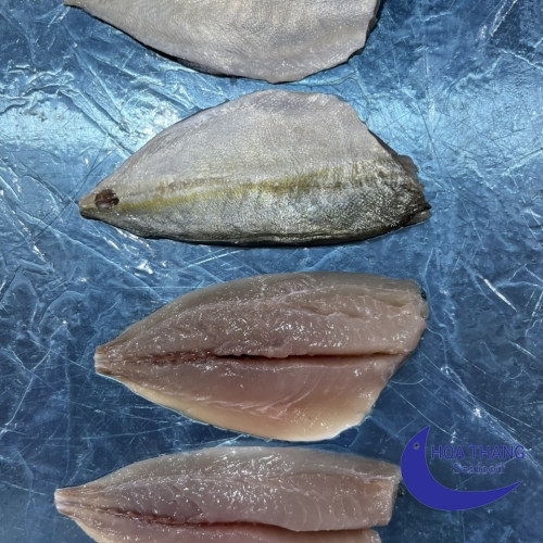  FROZEN MEAJI FILLET IQF