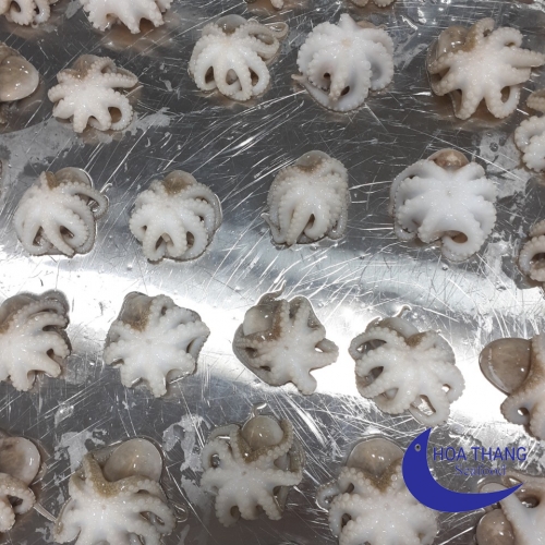 FROZEN  BABY OCTOPUS IQF