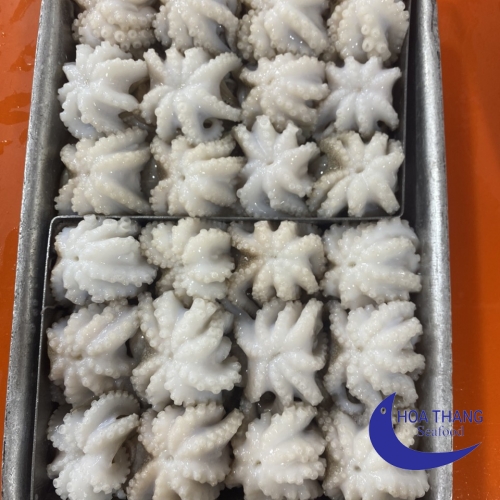 FROZEN BABY OCTOPUS