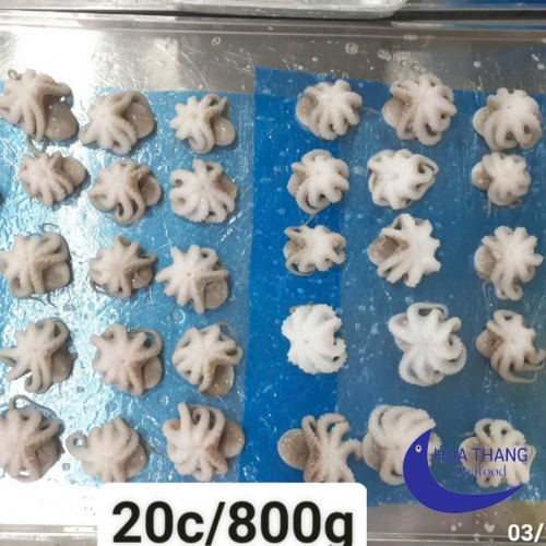FROZEN  BABY OCTOPUS IQF