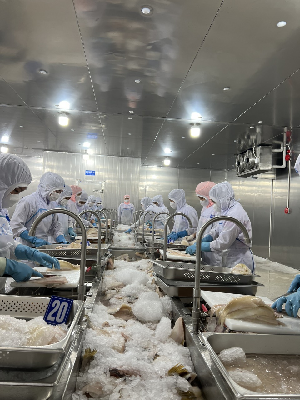 FROZEN SEAFOOD PRICE LIST - JULY 2024
